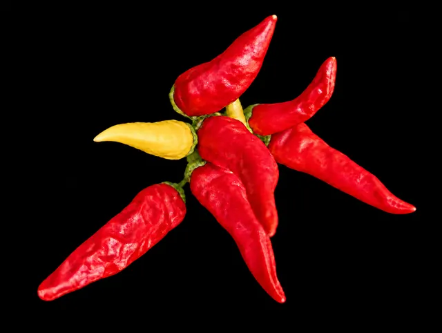 An asymmetrical cluster of wrinkled red peppers and a yellow pepper pointing left, isolated on a black background.