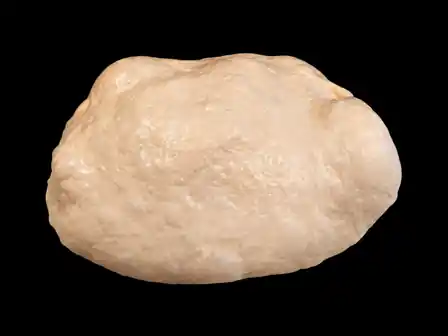 Bread study 1