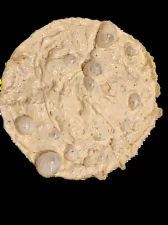 Bread study 2