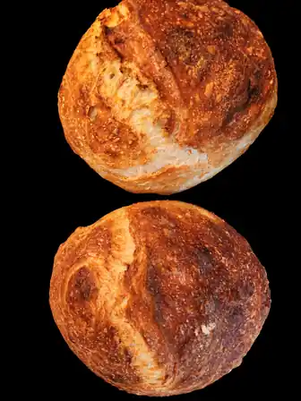 Bread study 6