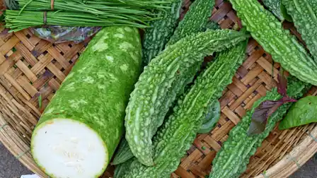 Textured green gourds and a cut pale gourd in a woven basket