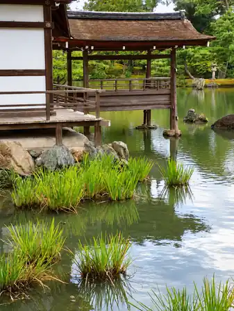 A wooden pavilion and walkway beside a green pond, with rocks, clumps of reeds and rippling reflections.
