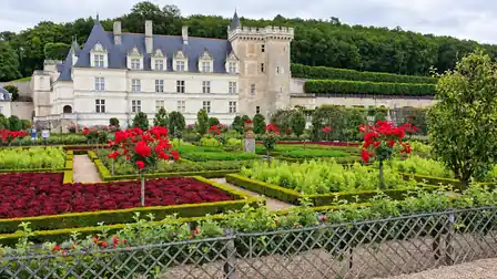 Red standard roses and colorful geometric vegetable beds with a low wooden trellis and Château de Villandry beyond.